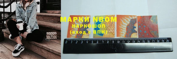 индика Вязники
