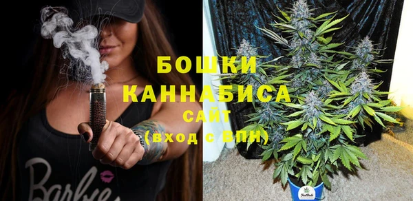 индика Вязники