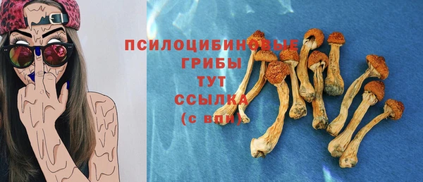 индика Вязники