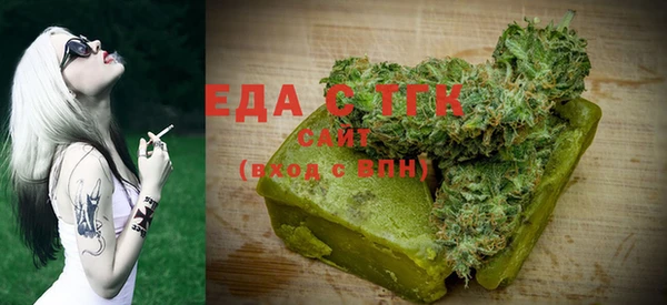 индика Вязники