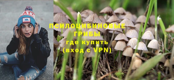 индика Вязники